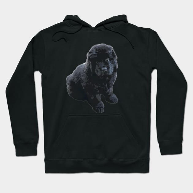 Newfoundland Puppy Dog Hoodie by ElegantCat